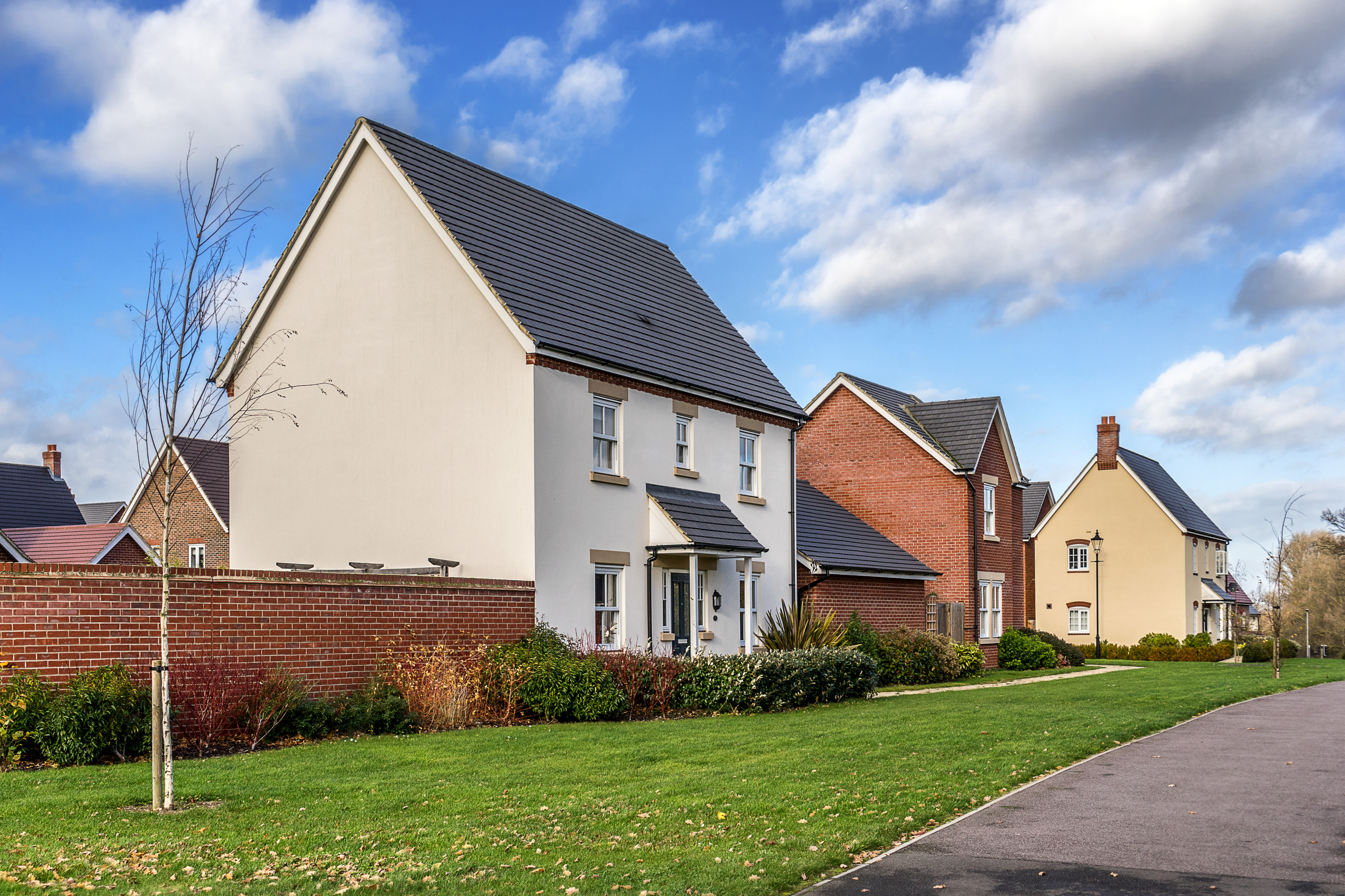 Housing Development